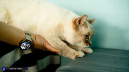 ����� ����������: ��� ������� �������� �������� � ����� ����������