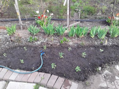 �������� � ������������: ��� �������� ������ � �����������