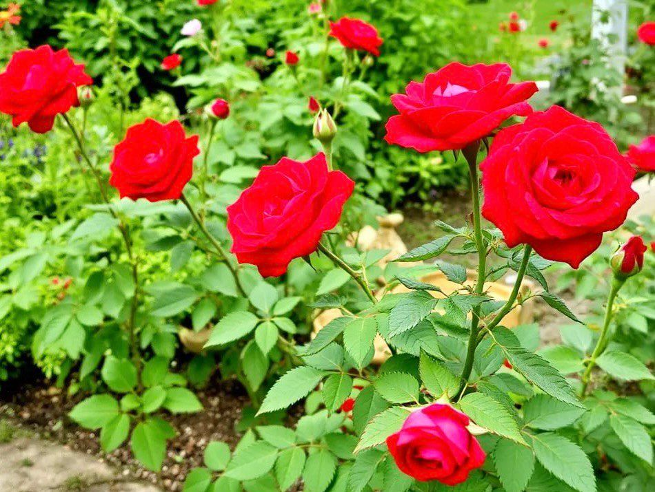 ��� ��������� ��������� ���� �� ����: �������, ������� ����� �����