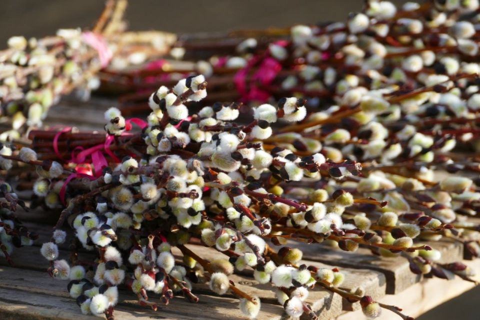 �������� �����: ���������� � ������� ������������, ������� �������! ����� ��������, �������� ��������, ��������� ������������!