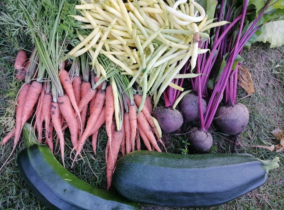 ������ ��������� ��� ���������: ������ � ������������ �� 19-25 ������� 2025 ����