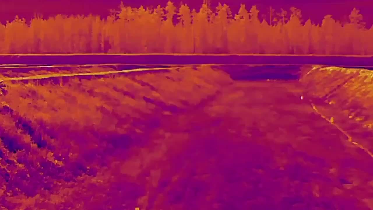 УМВД России по Томской области напоминает об ответственности за посягательство на честь, достоинство и деловую репутацию сотрудников полиции