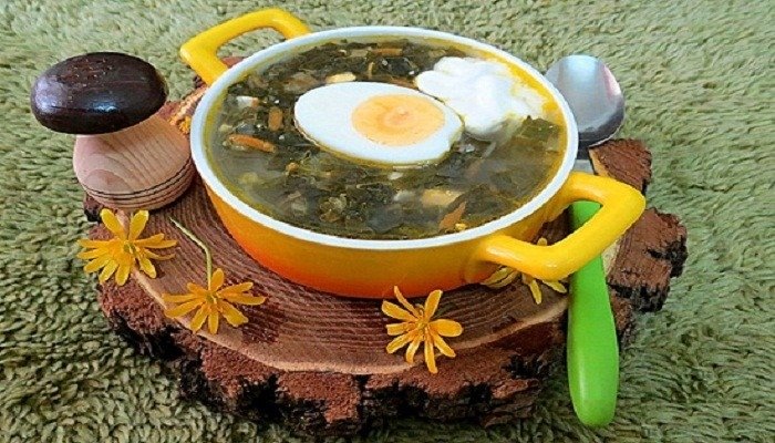 Весенний классика: как приготовить освежающий зеленый борщ с щавелем