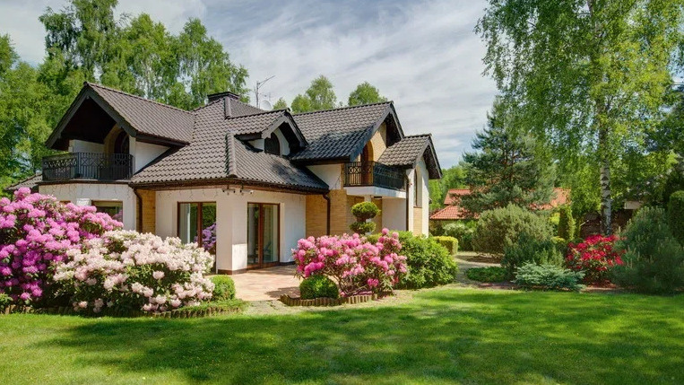 Как создать красивый сад без забот: 7 неприхотливых кустарников для вашего участка