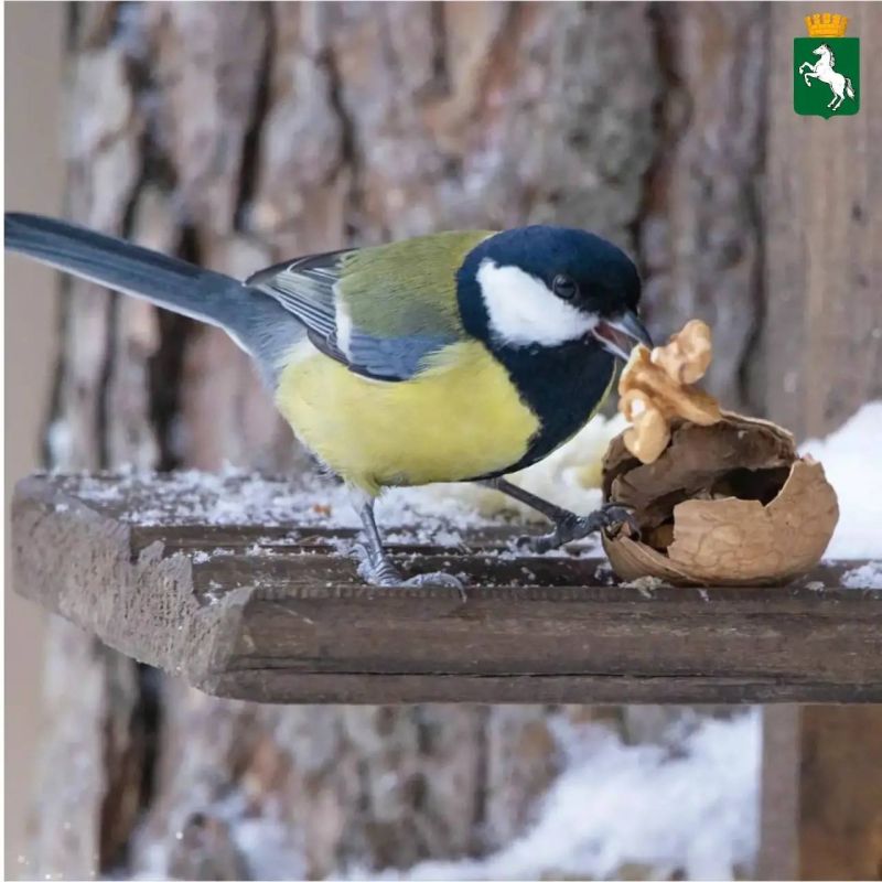 ������� ������!. ��������� ��������� ������, �������� �����, +7�