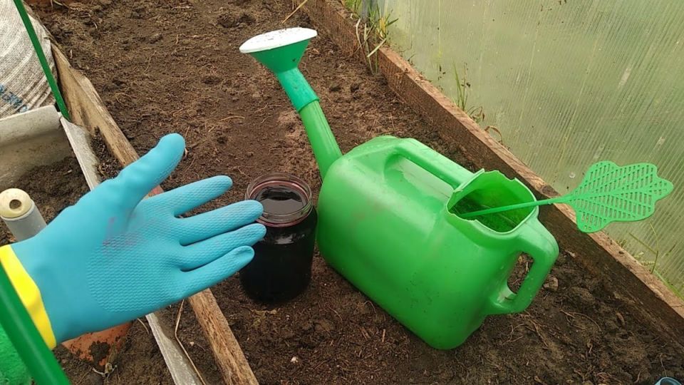 ��� �������� ���������� �� ���������: ����������� ������ ���������