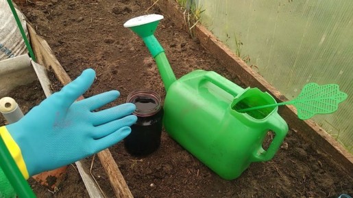 ��� �������� ���������� �� ���������: ����������� ������ ���������