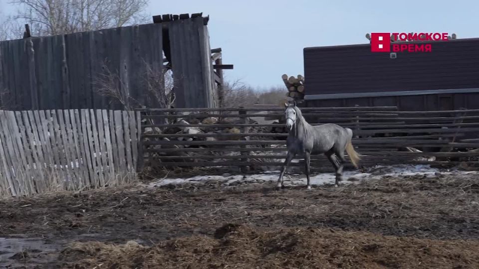 � ��������� ������ �������� ��������� ����� ��������