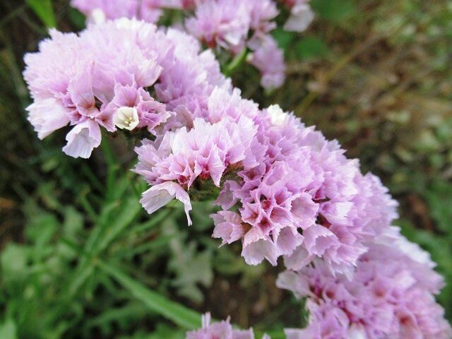 �������: ���������� ������������, ������� �������� ��������� � �������