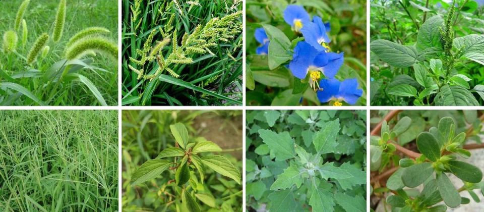 ������� ��� ���������: 20 ����������� ������� ������ ��� �����