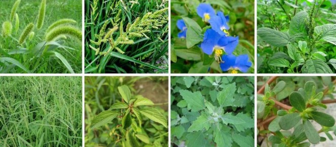 ������� ��� ���������: 20 ����������� ������� ������ ��� �����