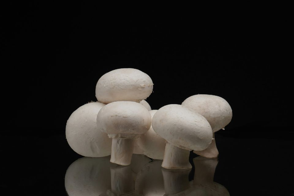 ������� �����������: ���������� �����, ������� ���������� ������������� � ������