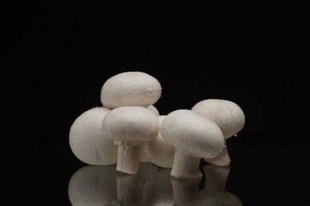 Грибное вдохновение: уникальные блюда, которые перевернут представление о грибах