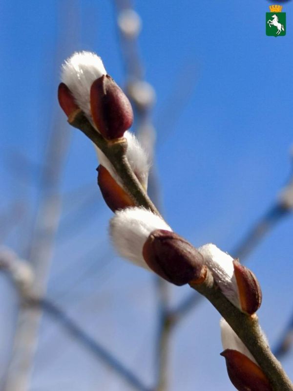 ������� ����������� ����!. ��������� ��������������� ����� ������, +5�