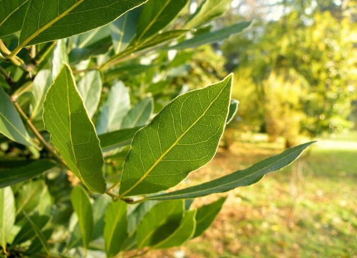 ��� ���������� ���������� � ������ �������: ������� �������� � ��������