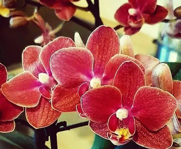 ����������: ��� �������� ������� �������� ����� �������