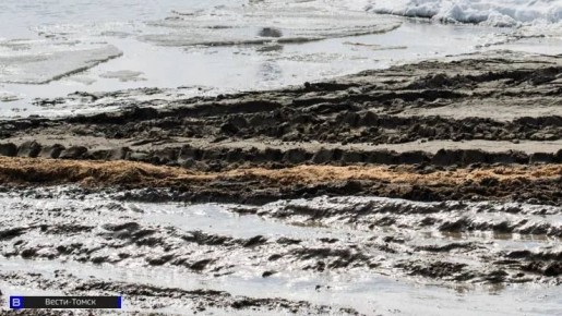 "Умирать пока нельзя": растаявший снег отрезал от мира жителей Полынянки