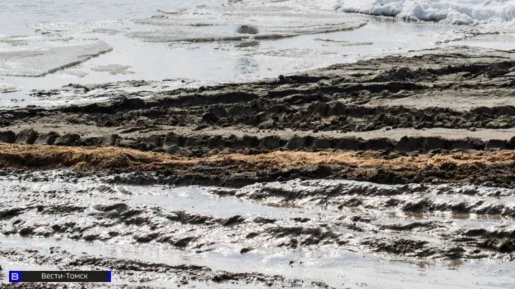 "Умирать пока нельзя": растаявший снег отрезал от мира жителей Полынянки