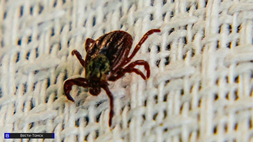 ������� ����������, ������� ����� ��������� �� �����