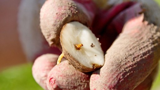 �������� ������������: ��� ����� ������� ������������ ������