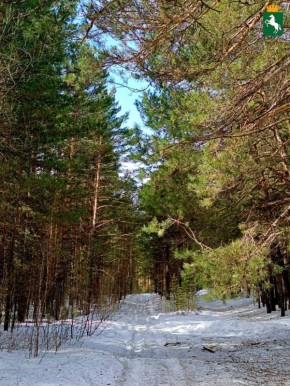 �������� ���!. ��������� ��������� ������, �������� �����, +6�