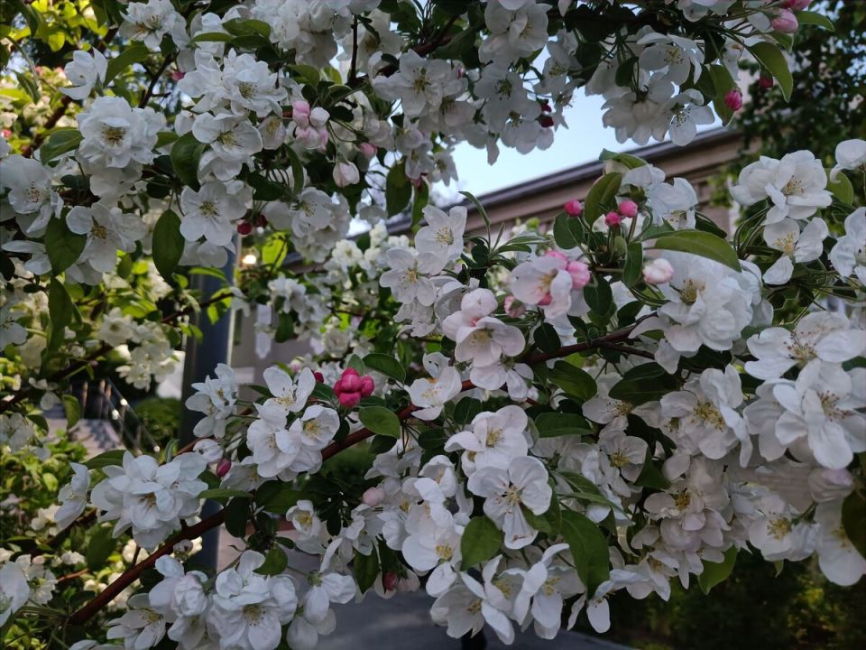 ����� ������� ����� �������: ��� ������� � 1 ������ 2026 ����