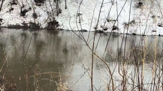 Дмитрий Махиня: Ситуация на реках Томска остаётся под круглосуточным контролем