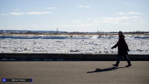 "Это просто космос!": томичей зовут на марафон в Лагерный сад