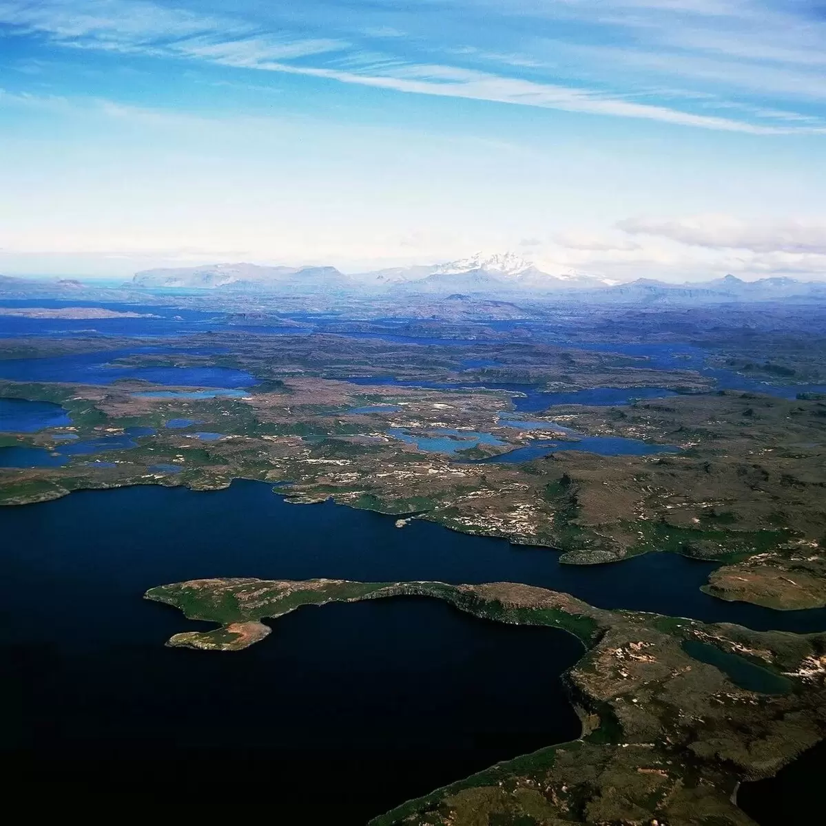 Кергелен: зеленое убежище на краю света и его уникальная капуста