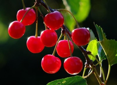 ������� ��������� ����� �����: ��� �������� �������� ������