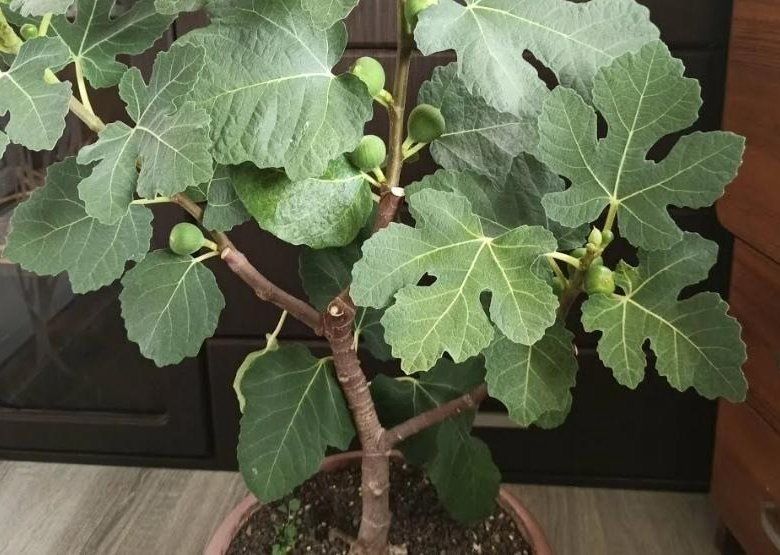 ����� � ����: ��� ��������� � ����������� ������������ ������