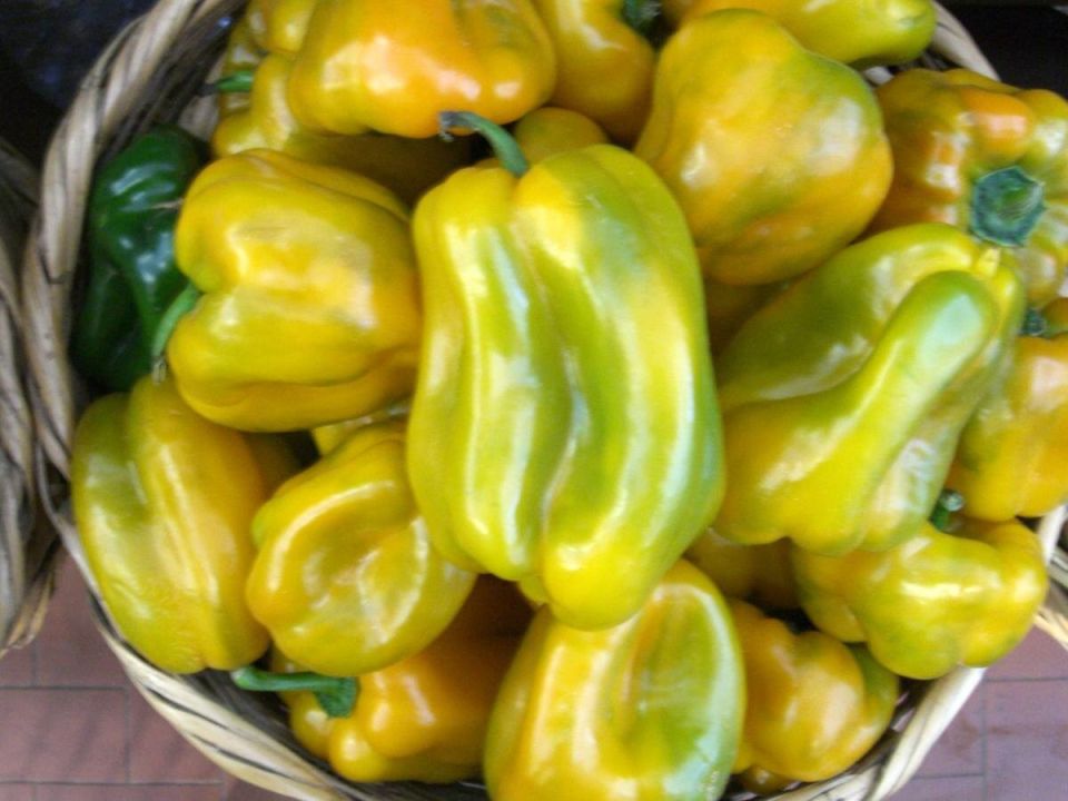 ��� �������� ������� ����� �� ������ ����: ������ ���������