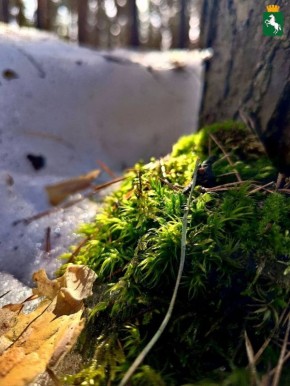 ������� ��������!. ��������� ����� ������, 0�