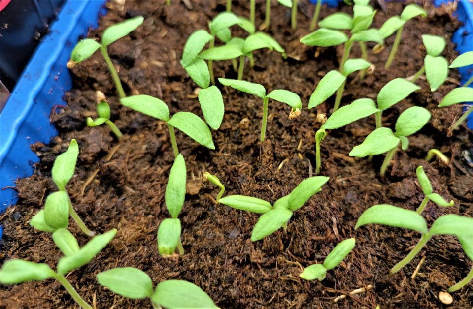 ������ ������� � ��������� ����� ��� ������: ����� � ����� ��� ������� ������