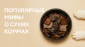 Развеиваем мифы о сухих кормах: правда или вымысел?