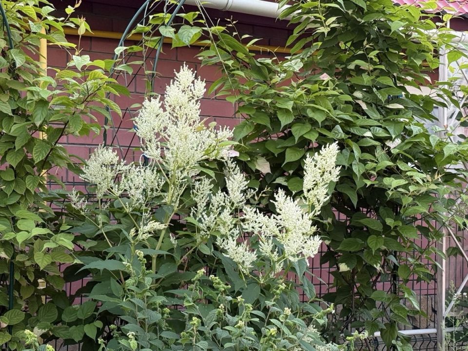 ����� ����������: ��������� ����������� ��� ������ ����