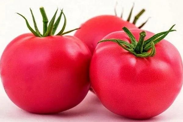 ����� ���� ��������: ��������� ����� ��� ������� �������� � ��������