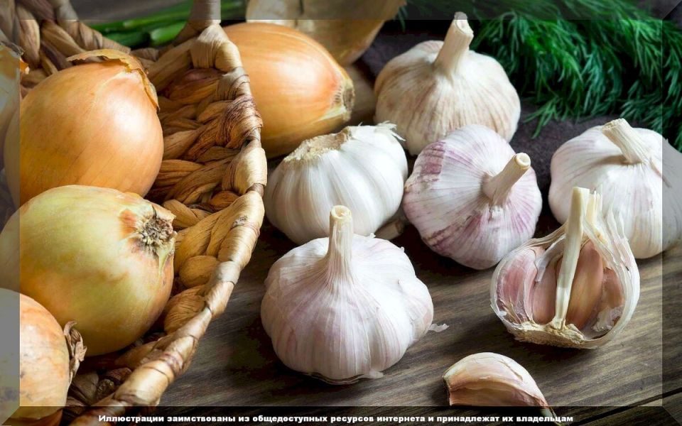 ������ ������: ������� �������� ������� � ���� �� ������� ���������