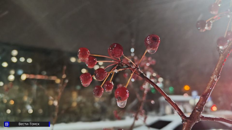 ��������� �����, ����� � ��������� ����: ������� ������ � ������ �� 10 ������