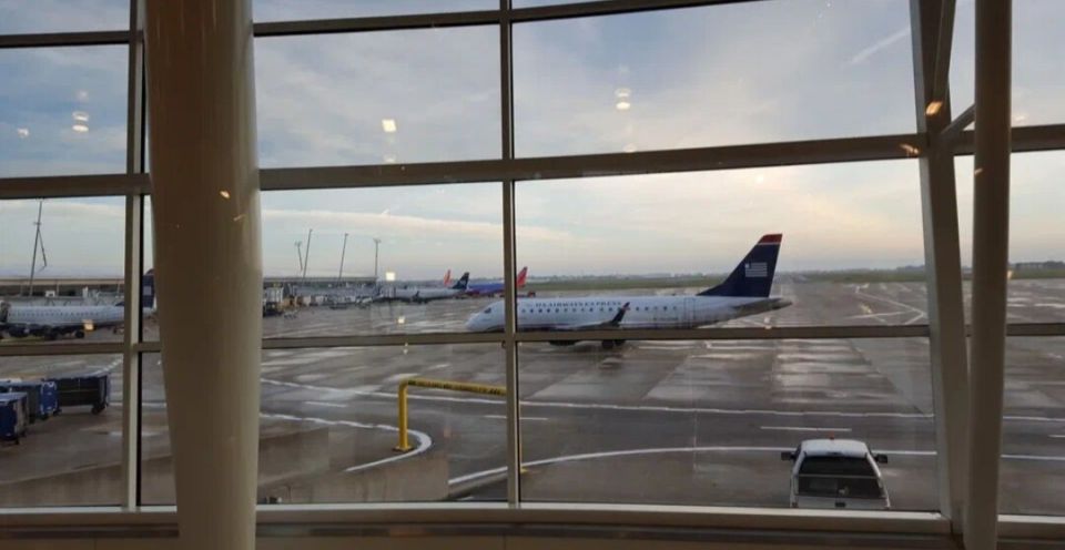 �������: ������������ ����������� � �������������� �����������