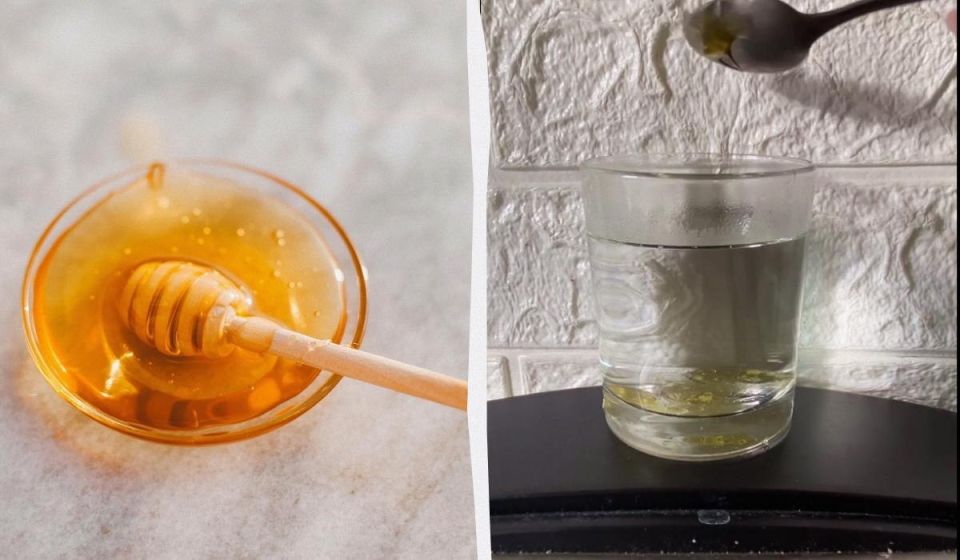 ��� �� ��������� �� ������ � ���������� ����