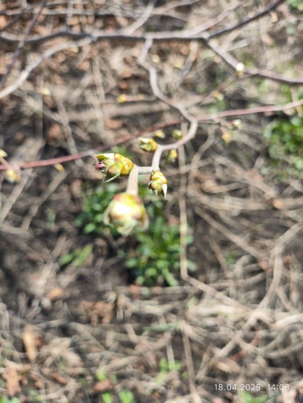 ��� ������ ������ ������ ������ � ���� ��������������