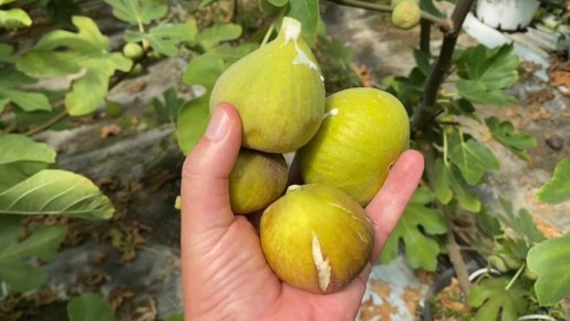 ��� ������� ������ ����� ������� ��� ������ � ������ ��� ����� ������