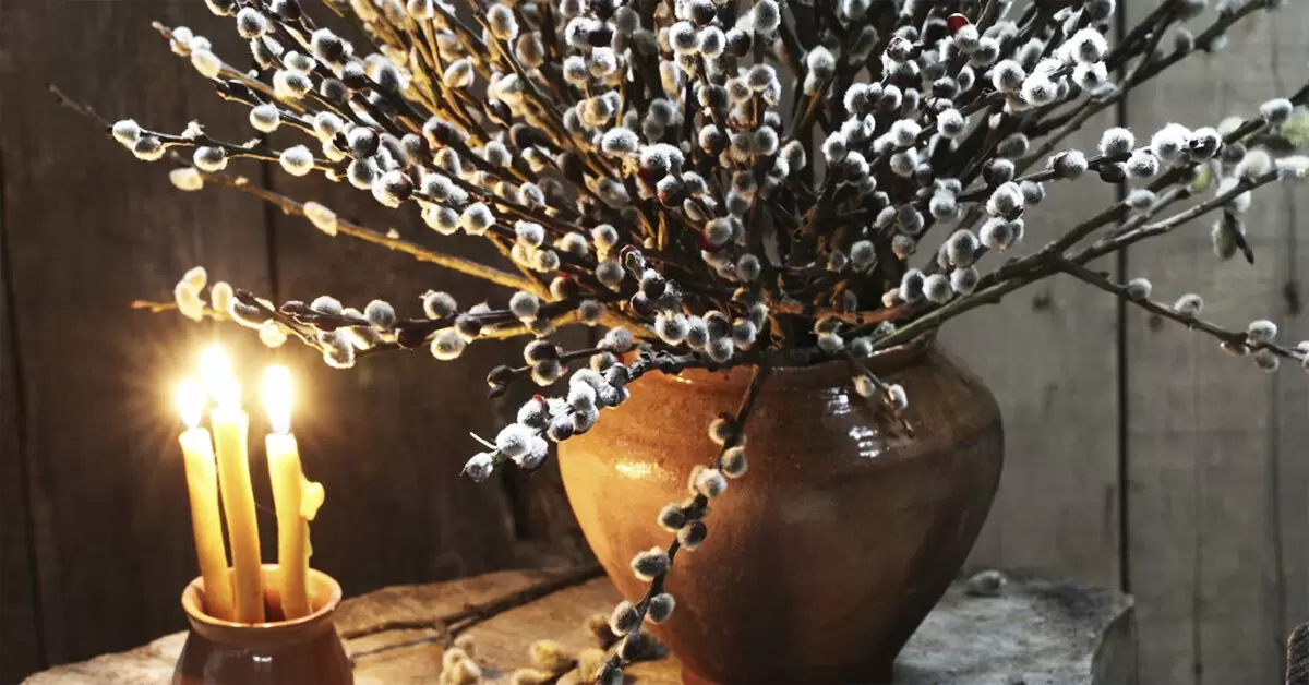 Вербное воскресенье: Традиции, правила и важные запреты