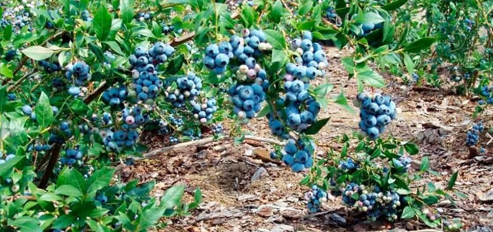 �������� � 2025 ����: ��� ��� �� ��������� �������� ���������