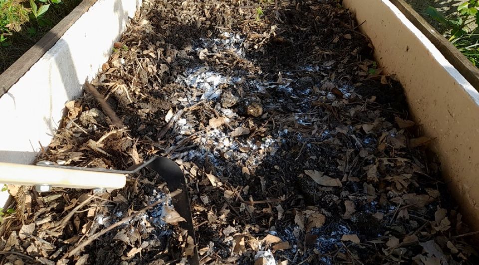 ������� ����������� ����������� �����: ������� ������ ��� ���������-��������