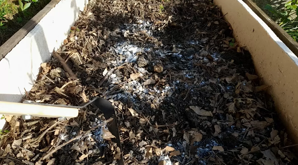 Секреты определения кислотности почвы: простые методы для садоводов-новичков