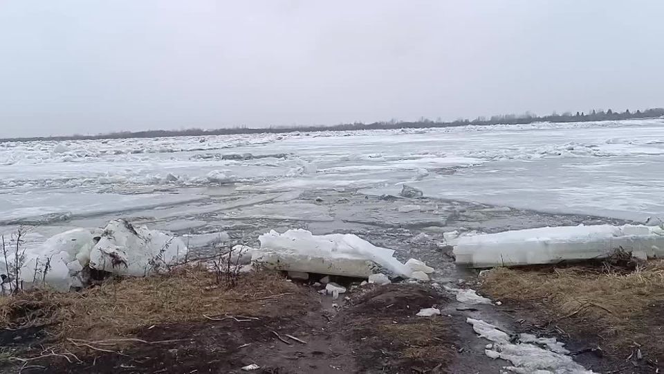 ������� ������: ������ �������� ����� �� ������� ������