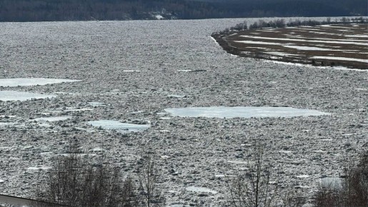 Дмитрий Махиня: Уровень воды в реках на утро: в Томи на гидростворе прибавка 101 см, на водопосте уровень поднялся на 78 см