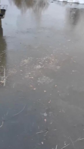 ������� ������� ������ ��� ���� ��-�� �������